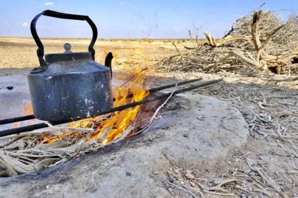 Chai Tee Pause im RNCN Shaumari Wildlife Reserve Jordanien