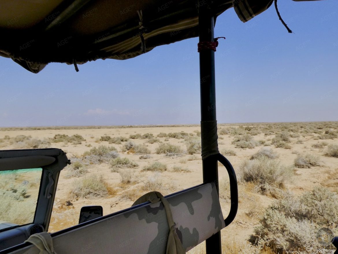 Safari mit Jeep im RNCN Shaumari Wildlife Reserve Jordanien