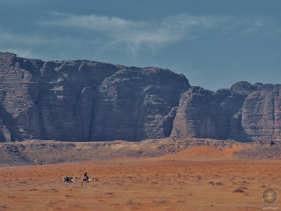 Beduine mit Kamelen in der Wüste von Wadi Rum Jordanien
