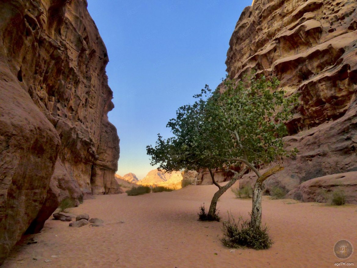 Canyon in Wadi Rum Jordanien