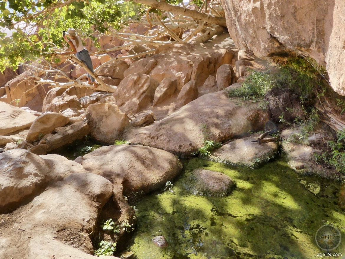 Lauwence Spring Lawrence von Arabien Quelle in Wadi Rum Jordanien
