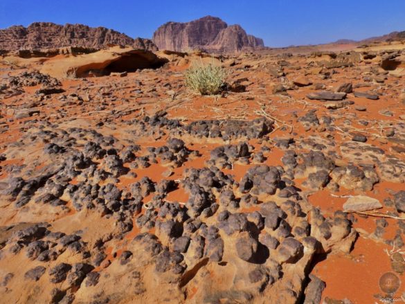 Lavastein in der Wüste - Wadi Rum UNESCO Welterbe Jordanien