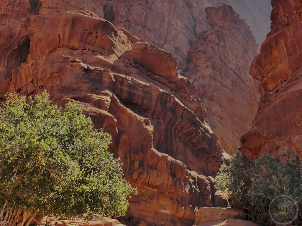 Oase - Magie der Wüste - Wadi Rum UNESCO Welterbe Jordanien