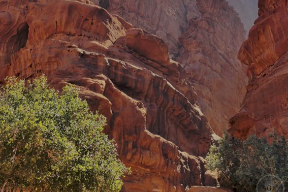 Oase - Magie der Wüste - Wadi Rum UNESCO Welterbe Jordanien