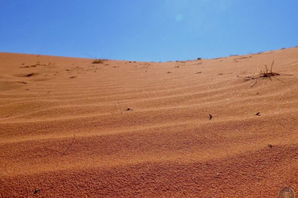Roter Sand in der Wüste von Wadi Rum Jordanien