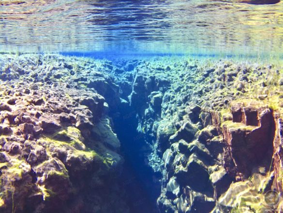 Bis zu 100m Sichtweite in der Silfra Spalte zwischen den Kontinentalplatten Europa und Nordamerika - Schnorcheln und Tauchen im Thingvelir Nationalpark Island