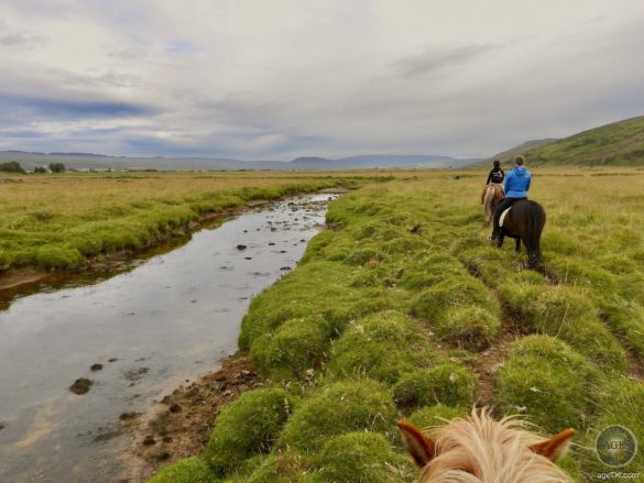 Isländer reiten für Anfänger und Fortgeschrittene Reiter - Islandpferde Ausritt - Island