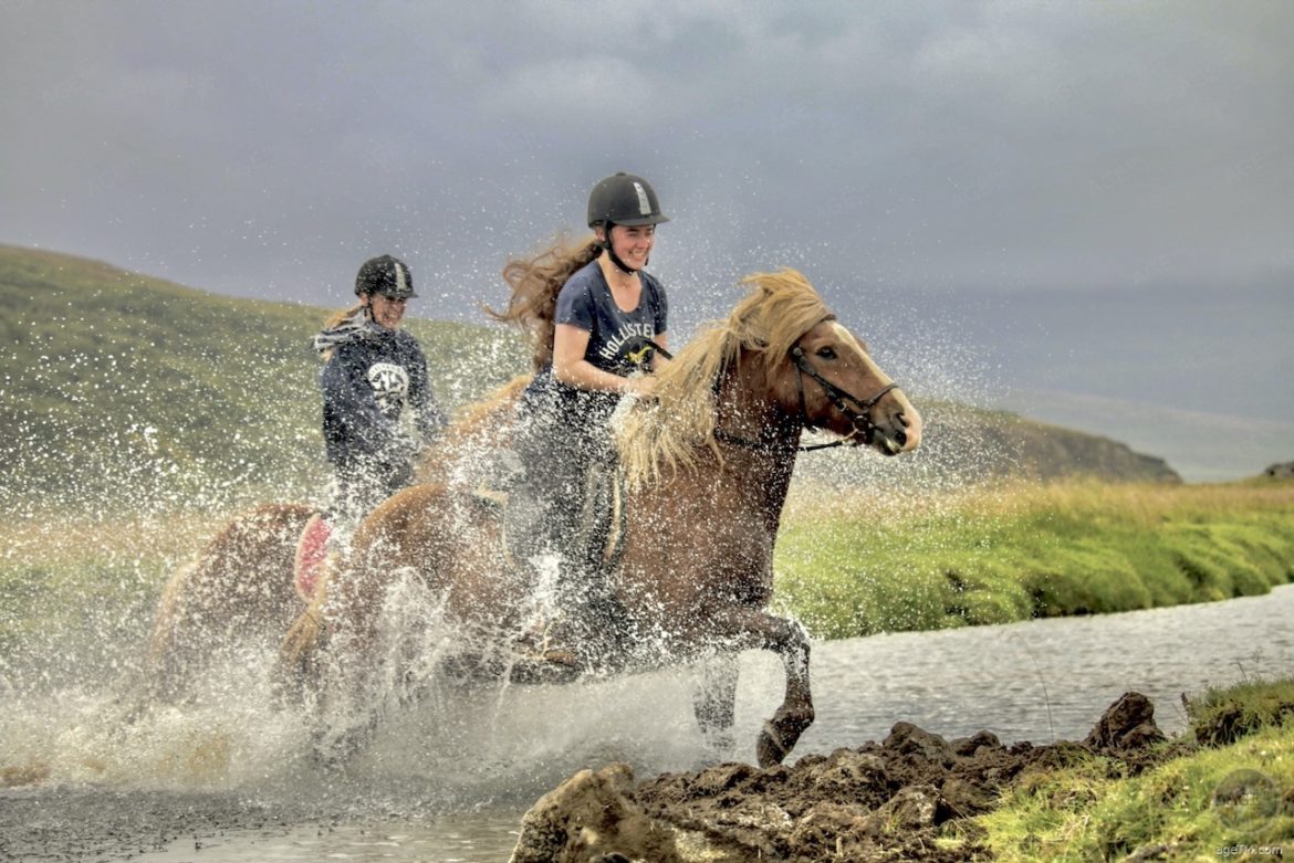 Island-Pferde Reiten durch den Fluss - Hof Gardur Nähe Husavik Island