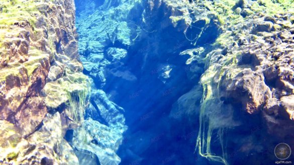 Lichtnetze - Silfra Kontinezalspalte zwischen Europa und Nordamerika - Tauchen im Thingvelir Nationalpark Island