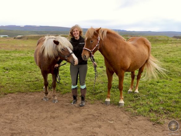 Reitferien in Island auch Kinder können die gutmütigen Isländer Pferde reiten - Nähe Husavik Island