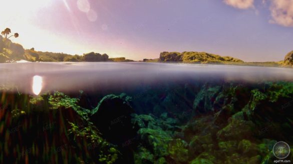 Schnorcheln zwischen Europa und Nordamerika in der Silfra Spalte - Tauchen und Schnorcheln im Thingvelir Nationalpark Island