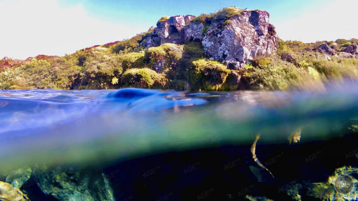 Zwischen den Welten und Kontinenten beim Silfra Schnorcheln und Tauchen im Thingvelir Nationalpark Island