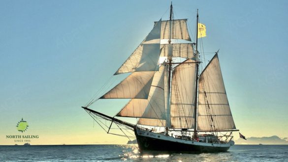 Segelschiff Opal - Whale Watching in Island © North Sailing Husavik Iceland