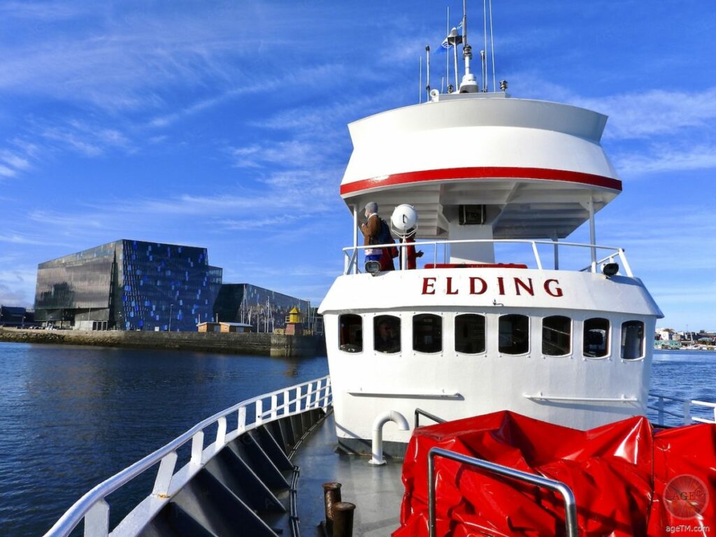 Wal-Touren in Reykjavik Island mit Elding Whale-Watching Iceland. In Island kannst Du mit Elding direkt in der Hauptstadt auf Walbeobachtung gehen. Ein Blick auf die Skyline von Reykjavik ist dabei inklusive.