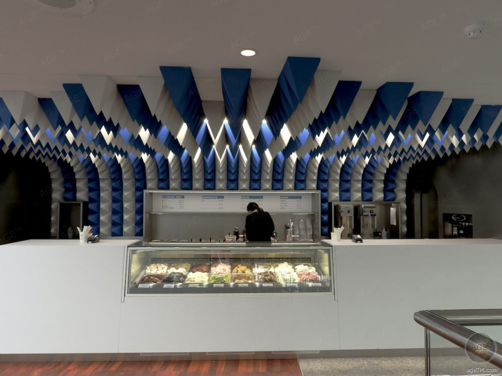 Eis essen im Perlan Naturkunde Museum mit Aurora Show Eistunnel Vogelfelsen und Aussichtsplattform über Reykjavik Island