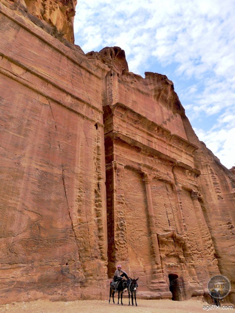 Rua das Fachadas em Petra Jordânia Burro na rua das fachadas Petra cidade dos Nabateus Jordânia