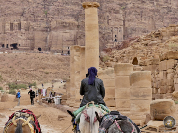Esel Touren Säulenstrasse Felsenstadt Petra Jordanien
