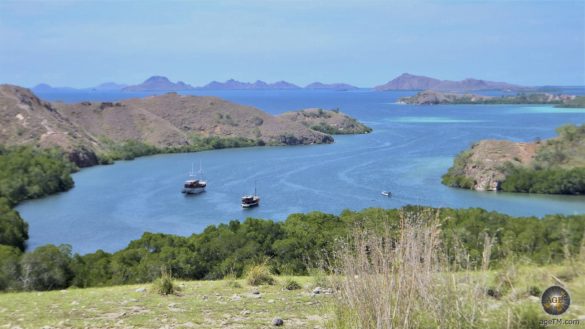 Aussichtspunkt IInsel Rinca Indonesien