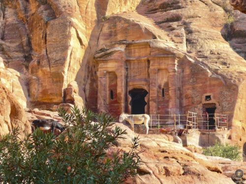 Wadi Farasa Ost Tal in Petra Jordanien UNESCO Weltkulturerbe