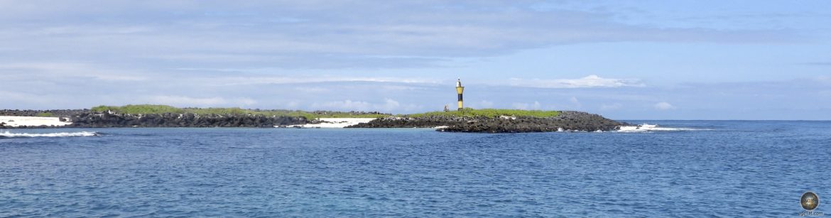 Tagesausflug Insel Espanola Punta Suarez Galapagos Nationalpark Ecuador