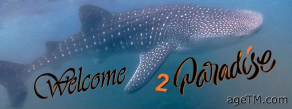 Revista de viajes AgeTM - Welcome 2 Paradise - Contacto AGE ™