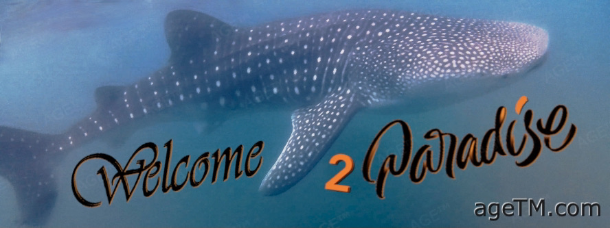 AgeTM Travel Magazine - Welcome 2 Paradise - AGE™ Kontakt