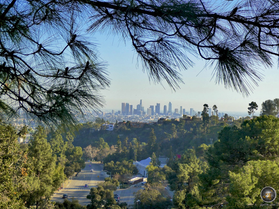 Blick auf Los Angeles vom Griffith Park in Kalifornien USA