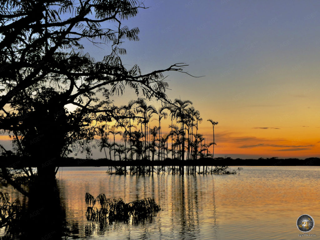 Kanoën door het regenwoud in Ecuador Wild Life Tour 's Avonds met de kano in het Amazone regenwoud - Great Lagoon Nature Reserve Cuyabeno Wildlife Reserve Ecuador