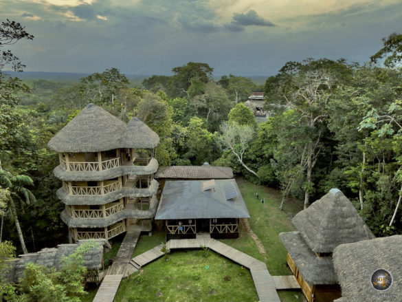 Amazonas Regenwald Cuyabeno Wildlife Reserve Ecuador Bamboo Lodge