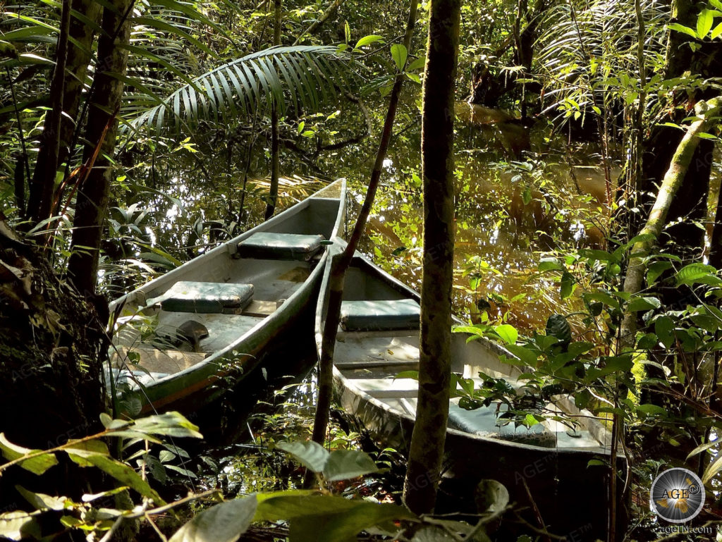 Kanoën door het regenwoud in Ecuador Wild Life Tour Kanoën door het regenwoud van Ecuador Cuyabeno Wildlife Reserve Amazonas