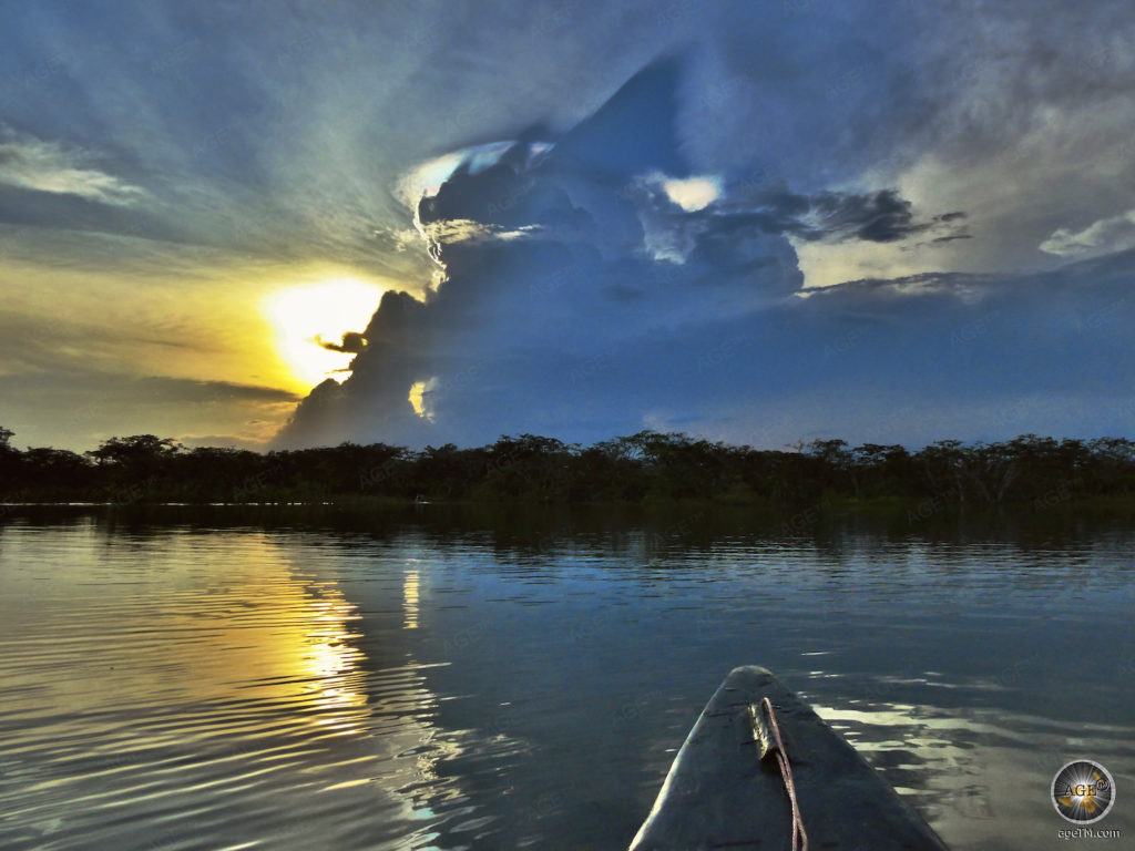 Kanoën door het regenwoud in Ecuador Wild Life Tour Per kano in het Amazone-regenwoud - Large Lagoon Nature Reserve Cuyabeno Wildlife Reserve Ecuador