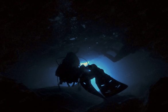 Unterwasserfoto zeigt 2 Höhlentaucher in den Santa Maria Caves Camino. Taucher Aktivurlaub Insel Malta Gozo Camino Europa