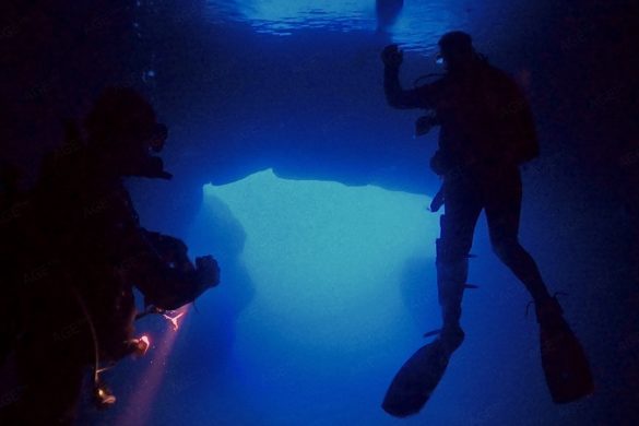 Unterwasserfoto zeigt 2 Höhlentaucher beim Höhlentauchen in der Cathedral Cave Insel Gozo Malta. Tauchen Aktivurlaub auf den Inseln Malta Gozo Camino Europa