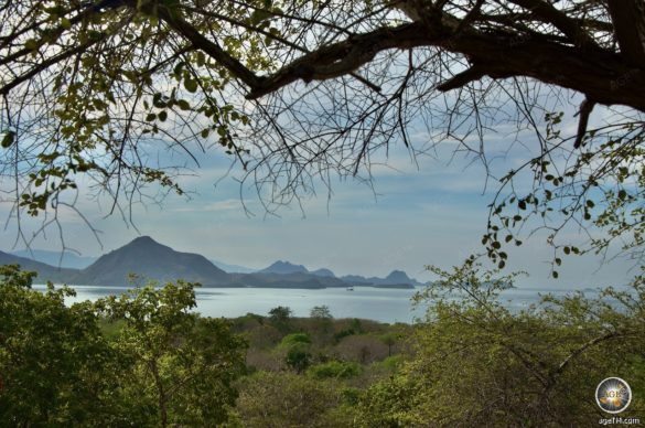 Foto zeigt den Ausblick auf das Meer. Insel Komodo im Komodo Nationalpark Indonesien - AgeTM Reisemagazin
