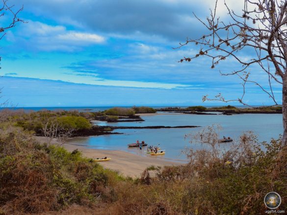 Galapagos Kreuzfahrt zur Insel Floreana - UNESCO Welterbe Ecuador