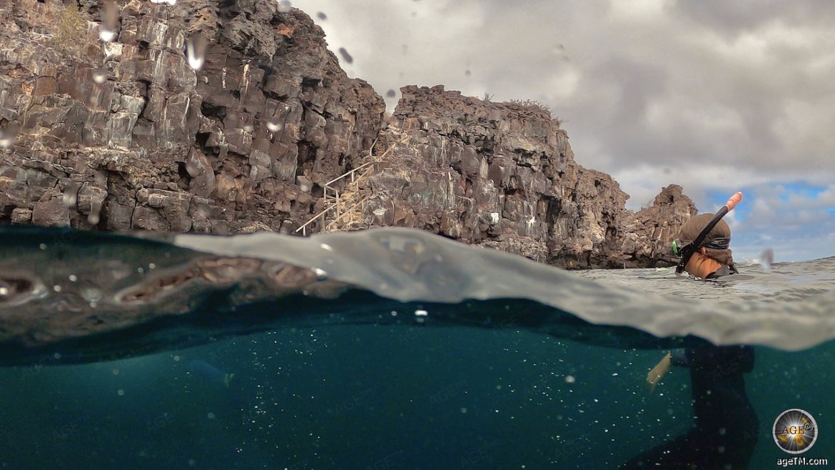 Foto zeigt eine Frau beim Schnorcheln vor den Philip Steps der Insel Genovesa im Galapagos Nationalpark in Ecuador