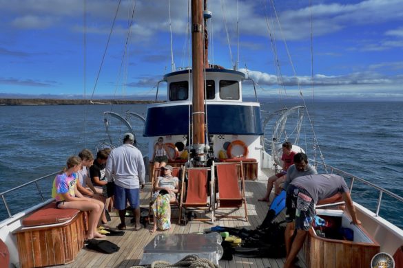 Schnorcheln auf den Galapagos Inseln - Samba Kreuzfahrt Ecuador