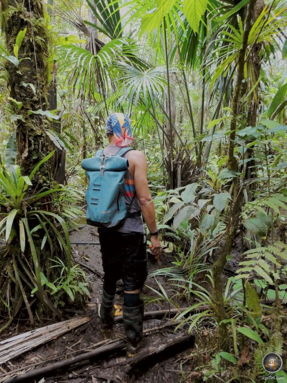 Foto einer Wanderung im Amazonas Regenwald Cuyabeno Wildlife Reserve Ecuador