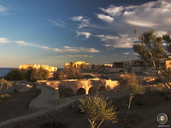 Tauchurlaub am Roten Meer The Oasis Hotel und Tauchresort Marsa Alam Ägypten