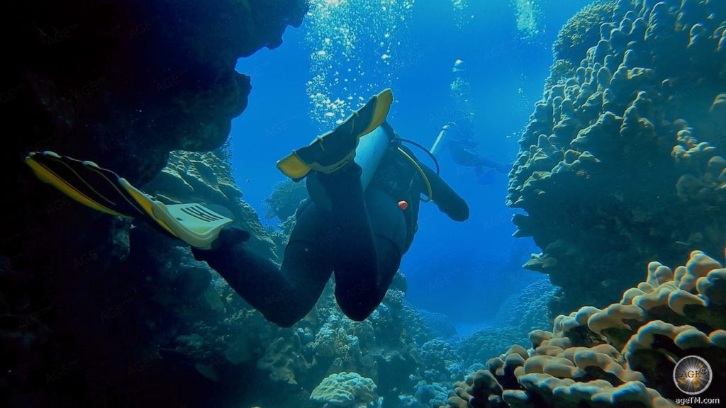 Taucher in Höhle am Korallen-Riff bei Marsa Alam Tauchurlaub Rotes Meer Ägypten