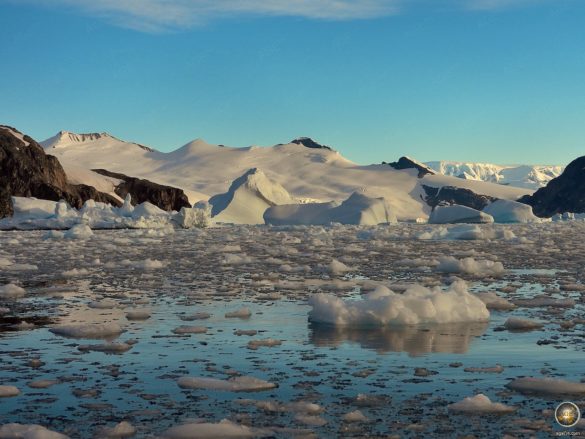 Treibeis vor der Antarktischen Halbinsel bei Cierva Cove.