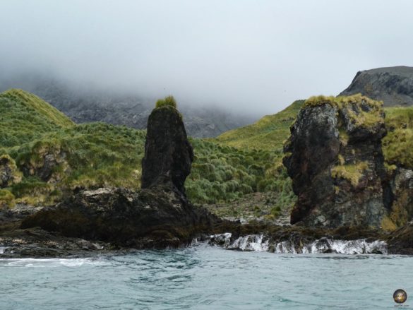 Mystische Landschaft bei Cooper Bay in Südgeorgien.