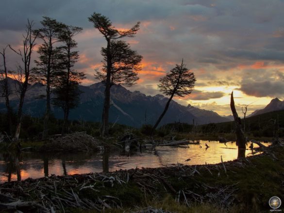 Wanderung zur Laguna Esmeralda Ushuaia Feuerland Chile Argentinien Südamerika Antarktisreise