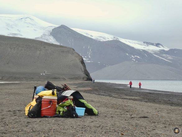 Anlandung mit Sicherheitsausrüstung - Telefon Bay Deception Island Süd-Shetland-Inseln - Sea Spirit Antarktis Expeditionsreise