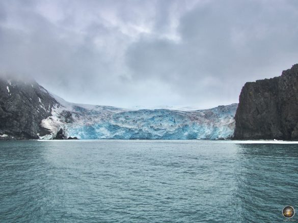 Beeindruckender Gletscher der Südshetlandinsel Elephant Island