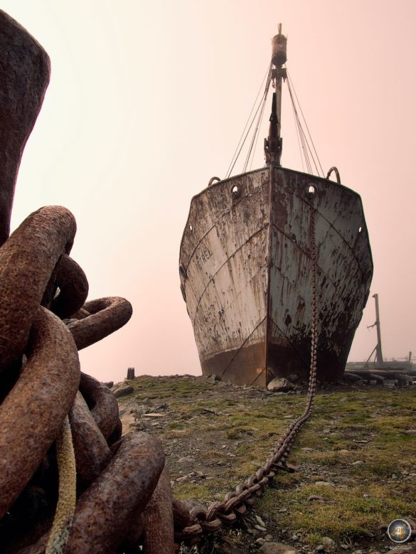 Geschichte der Walfänger in Südgeorgien - Sea Spirit Antarktisreise - South Georgia Grytviken