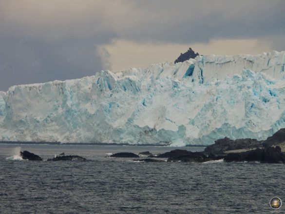 Gletscher ragt ins Meer Südliche Shetland Inseln Antarktisreise mit dem Expeditionsschiff Sea Spirit