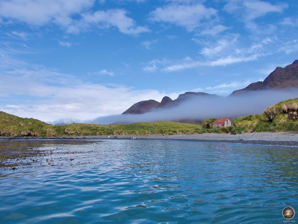 Jason Harbour Νότια Τζόρτζια Περίπατος στο γρασίδι Tussock Jason Harbor South Georgia Bay με καταφύγιο ή ταχυδρομικό σταθμό - Κρουαζιέρα με Sea Spirit Antarctic Expedition