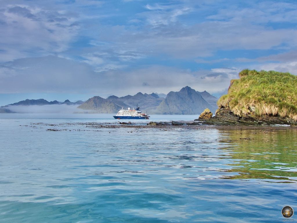 Jason Harbour Südgeorgien Spaziergang im Tussockgras Jason Harbour Südgeorgien mit der Sea Spirit Poseidon Expeditions Kreuzfahrt