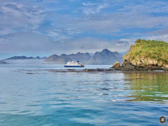 Jason Harbour Südgeorgien mit der Sea Spirit Poseidon Expeditions Kreuzfahrt